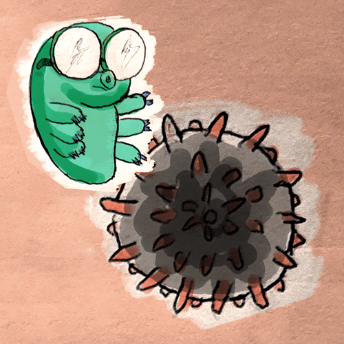 Waterbear with coronavirus