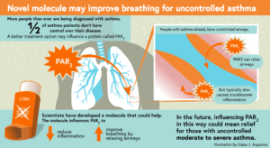 infographic introducing a novel molecule that may improve breathing for uncontrolled moderate to severe asthma.  Adding 3d space by overlapping elements is a simple way to make your infographic look more polished