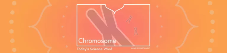 Chromosome – Today’s Science Word