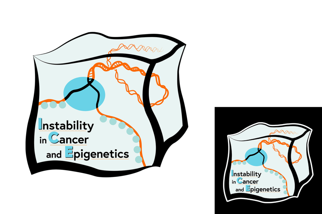 Logo for the Instability in Cancer and Epigenetics Research Group
