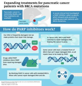 Infographic to accompany an article about the results from the rucaparib trial in BRCA mutated pancreatic cancer. Giving the eyes a literal path to follow can make your infographic look more polished.