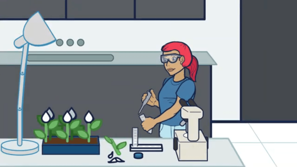 Original lab scene from animated video - creative contract, exclusive license, commercial license